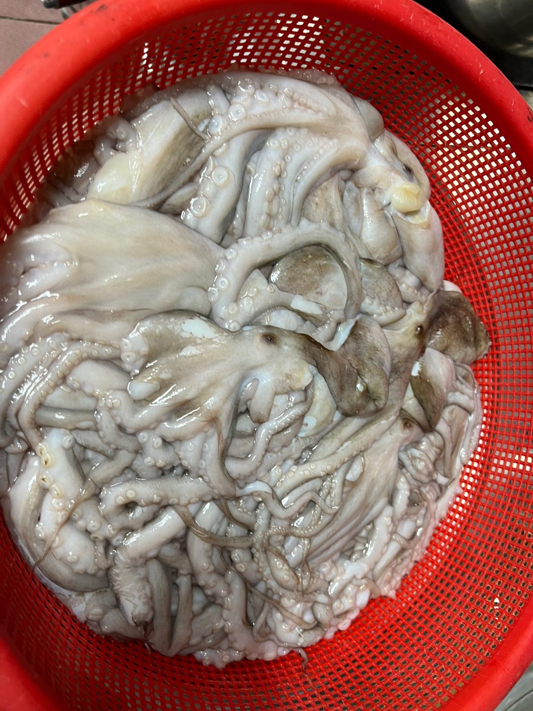 식문화동아리 (11강 )